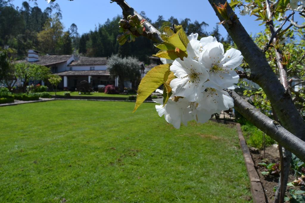 Quintal De Alem Do Ribeiro-Turismo Rural Lousã Exterior photo