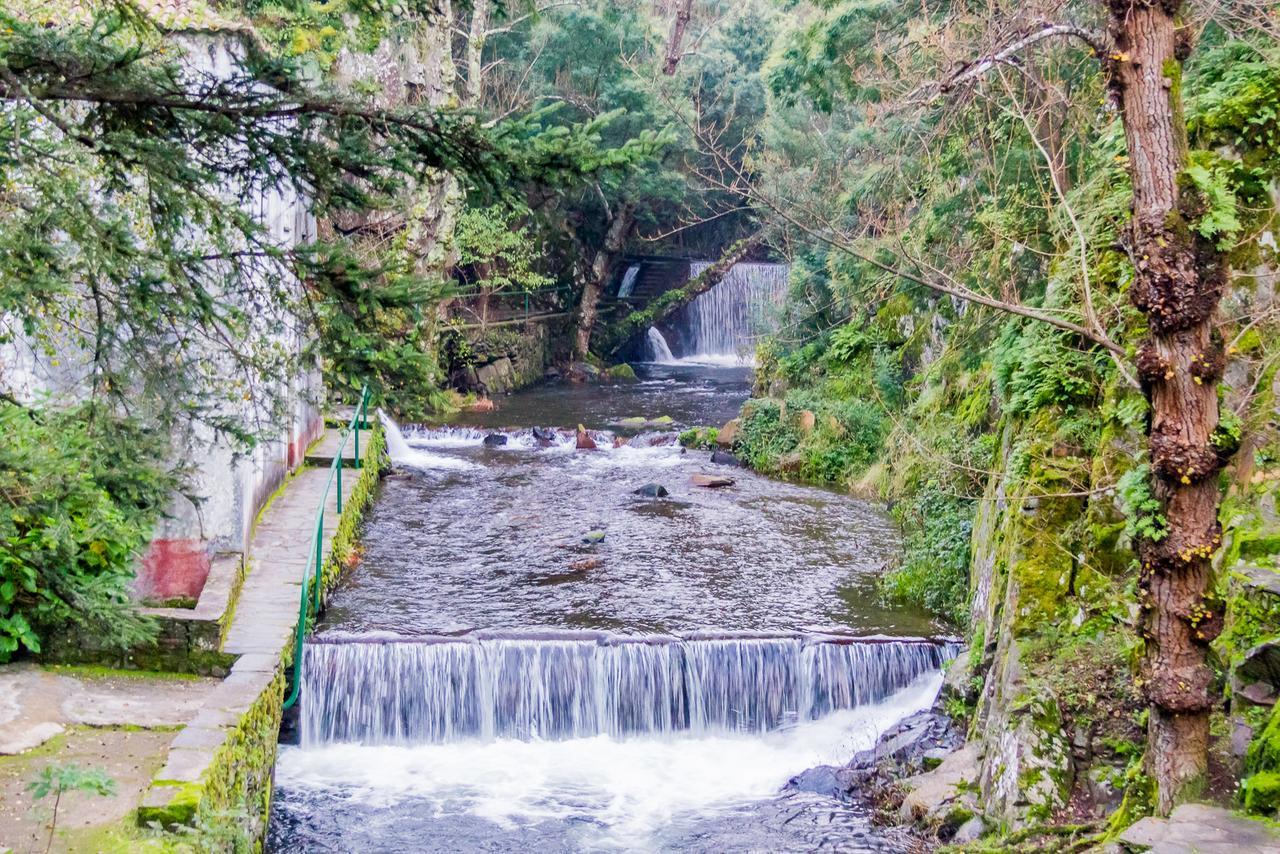 Quintal De Alem Do Ribeiro-Turismo Rural Lousã Exterior photo