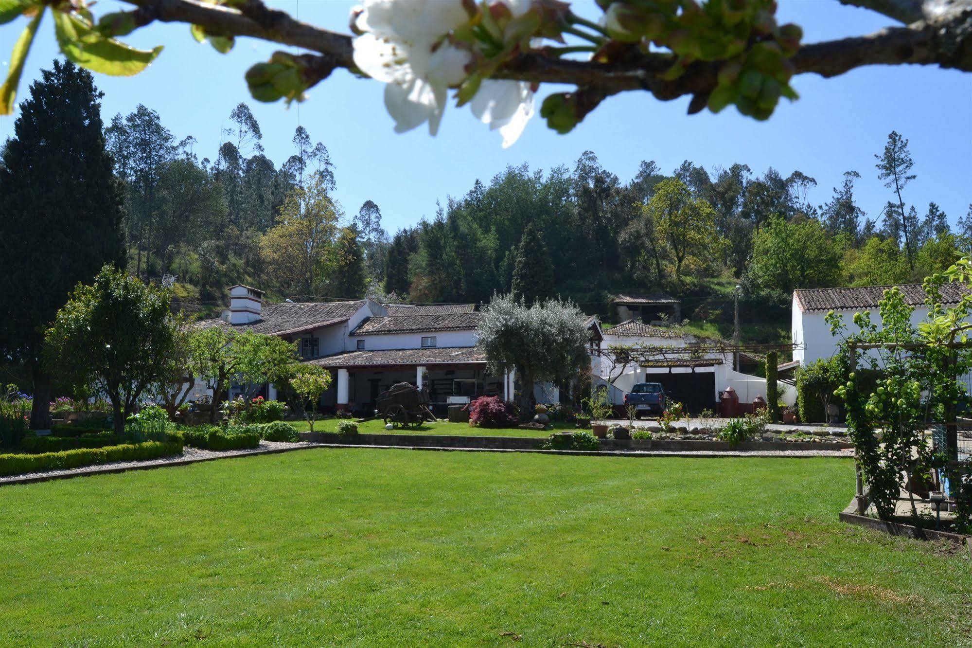 Quintal De Alem Do Ribeiro-Turismo Rural Lousã Exterior photo